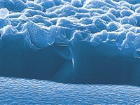 solar cell